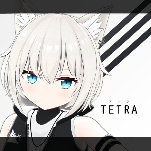 【🎉セール中】オリジナル3Dモデル「TETRA(テトラ)」