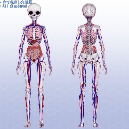 商品画像 3