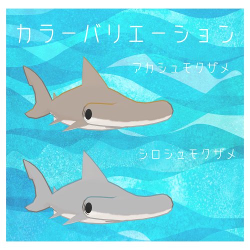 商品画像 6