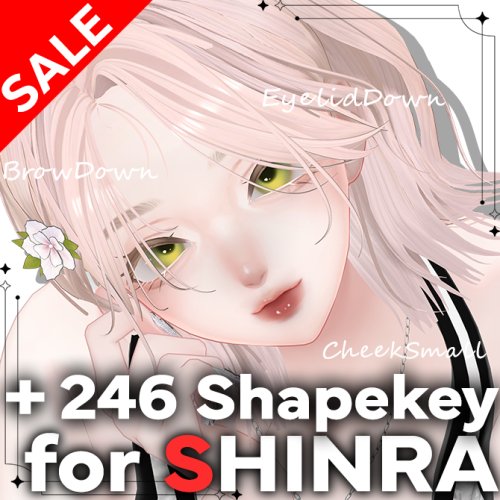【24時間限定50%オフ】追加シェイプキー246種類+早期購入特典付き// 추가 셰이프 키 232종류 + 조기 구매 혜택 포함//232 additional shape keys + early purchase bonus　