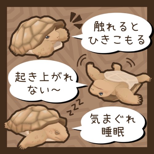 商品画像 4
